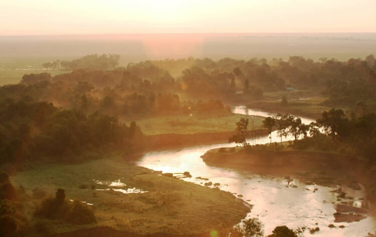 Parco Nazionale del Serengeti 