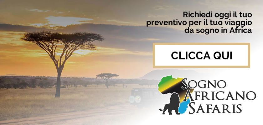 Richiedi info per safari in Tanzania