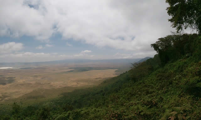 safari nord tanzania e isola di mafia, Sogno Africano Safaris